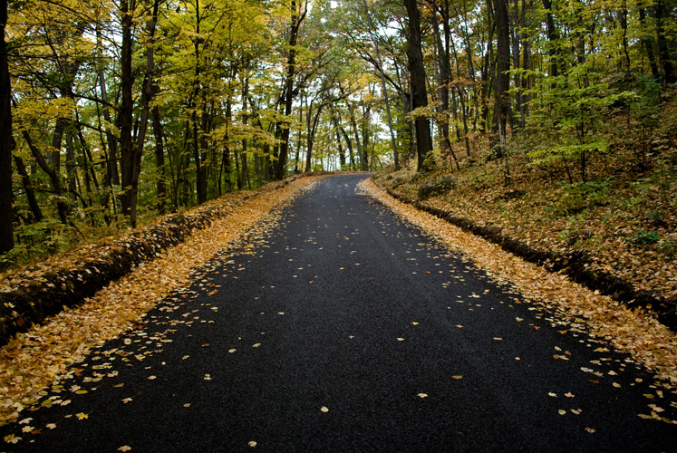 Foliage Road