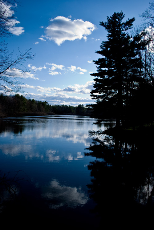 BLACK AND BLUE
(Piscassic Ice Pond - Newfields, NH - 04/12/2010)