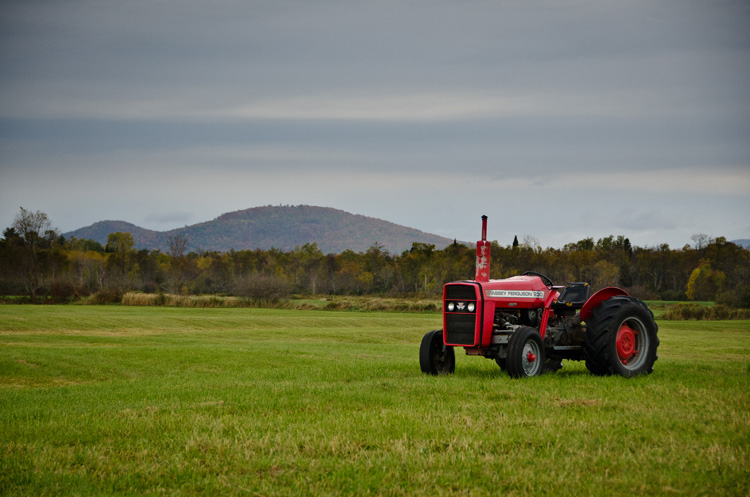 RED TRACTOR
(Route 115A - Jefferson, NH - 10/04/2014)